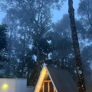 https://roots-munnar.kerala-hotels.net